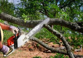 Leaf Removal in Saybrook Manor, CT